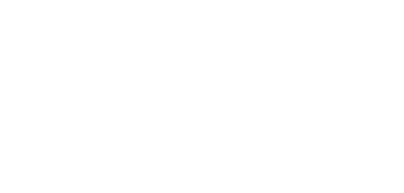 Barça Academy